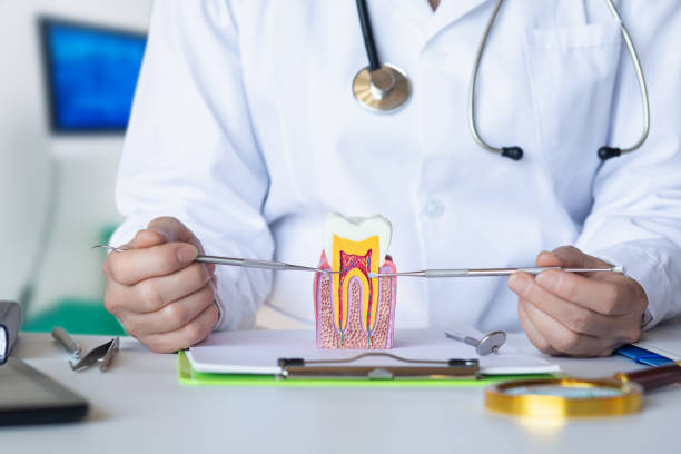 Best Emergency Care for Gum Disease in Carey, ID